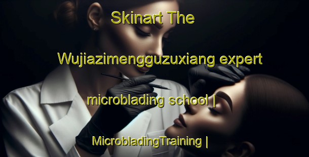 Skinart The Wujiazimengguzuxiang expert microblading school | MicrobladingTraining | MicrobladingClasses | SkinartTraining-China